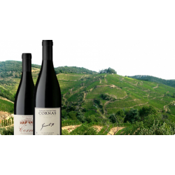 Domaine Vincent Paris à Cornas