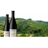 Domaine Vincent Paris à Cornas