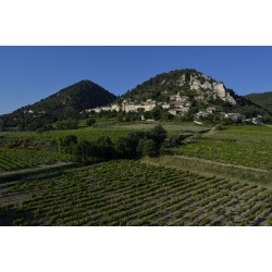 Domaine de l'Amandine - La Montagne - Côtes du Rhône Villages 2016