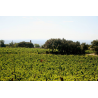 Domaine de Dionysos - AOC Côtes du Rhône Blanc - Charline Bio 2020