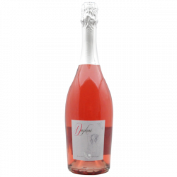 Famille Cecillon - AOC Saint Joseph rouge - Babylone 2022