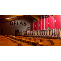 Maison Delas Frères – AOC Côtes du Rhône rouge - Delas Saint Esprit 2020