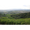 Parcelle historique de Cornas "Les Ruchets" du domaine Jean Luc Colombo