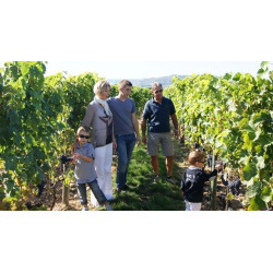 Domaine des Remizieres - Cave Desmeure à Mercurol	