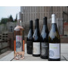 Les vins en Côtes du Rhône et en Cairanne du Domaine Clos Romane