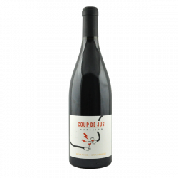 Domaine des Gravennes Coup de Jus 2021