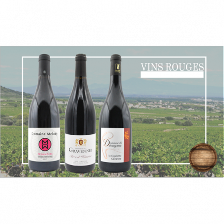 coffret vin rouge fruité pas cher