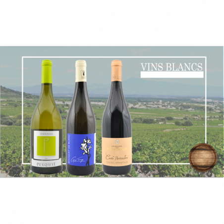 Coffret de Vin Blanc - 3 bouteilles - Côtes du Rhône blanc et bio