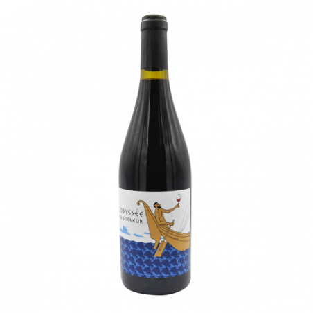 Domaine Duseigneur Odyssée 2021 - Côtes du Rhône Villages Bio Domaine Duseigneur Odyssée 2021 - Côtes du Rhône Villages Bio