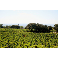 Domaine de Dyonisos  - Massif d'Uchaux