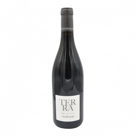 Vindemio Terra - Ventoux Rouge 2022 - Florentine, Albin Combe - Mazan Vindemio Terra - Ventoux Rouge 2022 - Florentine, Albin Combe - Mazan