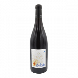 Domaine Richaud Bulbille 2023 - Vin rouge bio