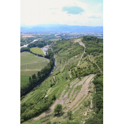 Les coteaux de Brézème du Domaine Lombard