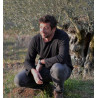 Patrick Bruel devant un vieil olivier du Domaine de Leos