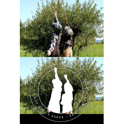 Logo du Domaine de Leos à l'Isle sur Sorgue - Les enfants de Patrick Bruel