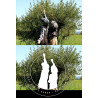 Logo du Domaine de Leos à l'Isle sur Sorgue - Les enfants de Patrick Bruel