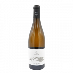 Domaine Melody Saint Joseph blanc 2023