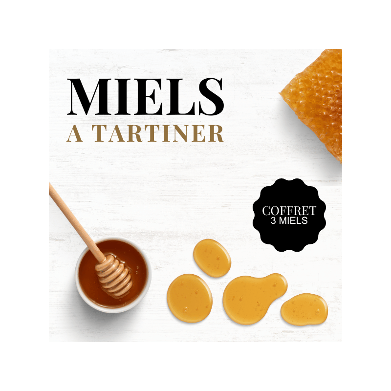 Coffret Miel à Tartiner - 3 pots - 29€ livraison France incluse