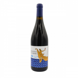 Domaine Duseigneur Odyssée 2022 - Côtes du Rhône Villages Bio