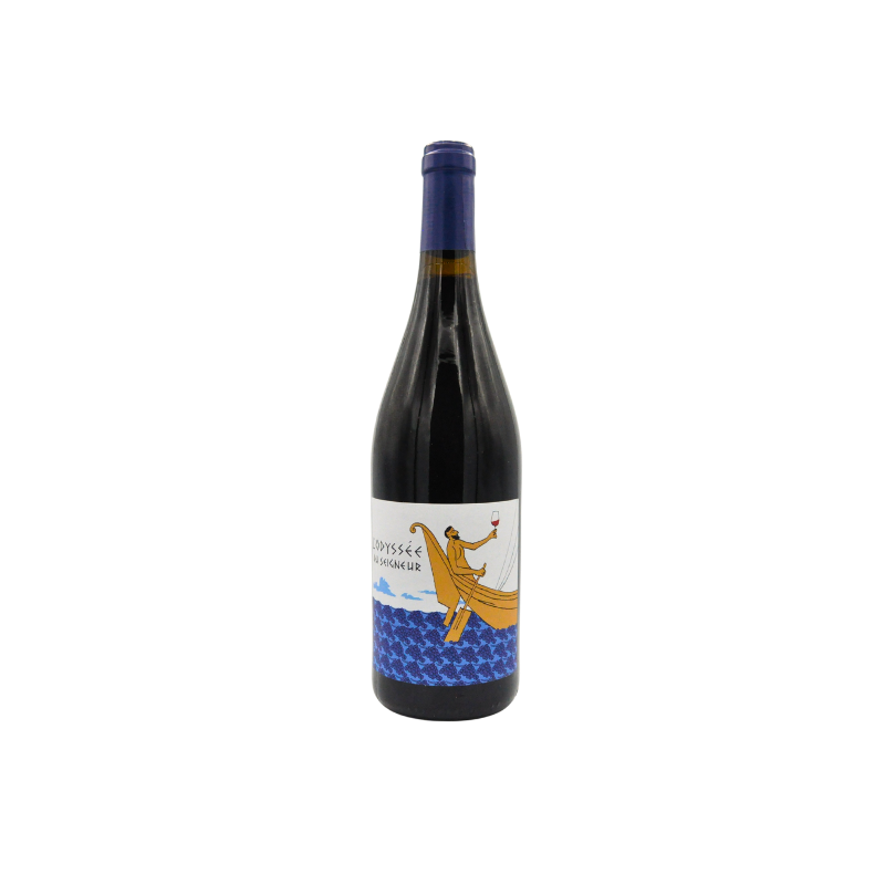 Domaine Duseigneur Odyssée 2022 - Côtes du Rhône Villages Bio