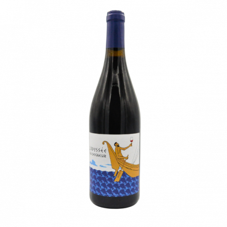 Domaine Duseigneur Odyssée 2022 - Côtes du Rhône Villages Bio