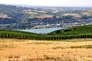Domaine Gisèle Vernay et Sébastien Colombier
