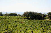 Domaine de Dionysos