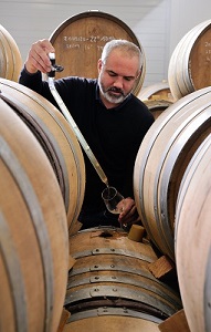 Julien Pilon Vigneron à Chavanay