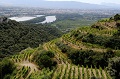 Domaine Michel et Stéphane Ogier