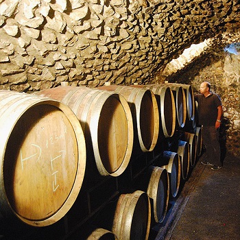Domaine Boissonnet à Serrieres, producteur en vin de Condrieu et Saint Joseph Emisphere