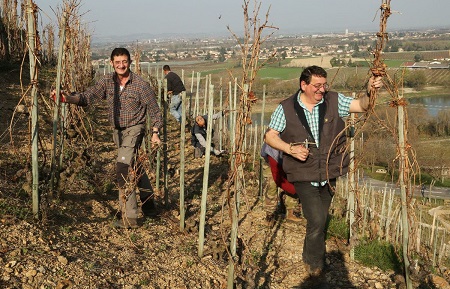 Domaine Courbis - Cave Chateaubourg - Laurent et Dominique Courbis