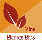 Vin Blanc Bio