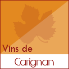 Carignan vin des Côtes du Rhône