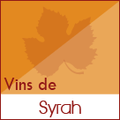 Syrah vin des Côtes du Rhône