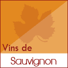 Vin de cépage Sauvignon blanc sec