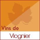 Viognier vin des Côtes du Rhône