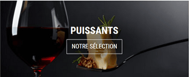 Notre sélection de vins puissants